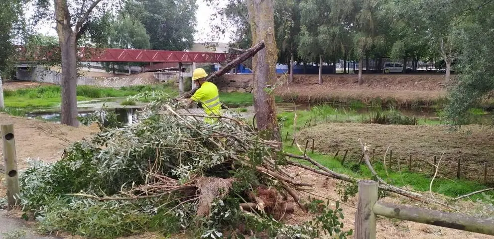 Traballos de limpeza este martes no río Limia, en Xinzo, a cargo de operarios de Tragsa (FILEminimizer)