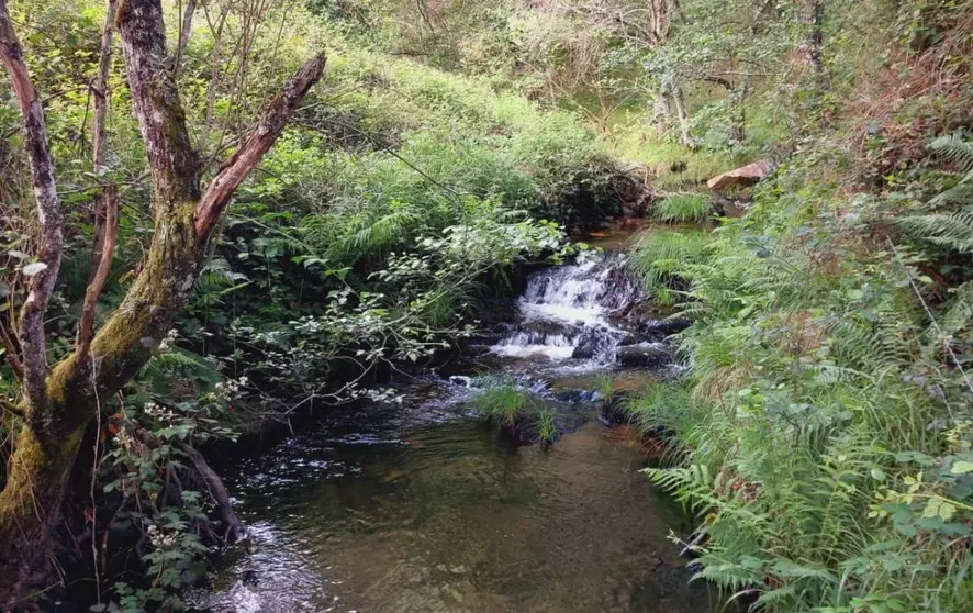 Río Arnoia en Vilar de Barrio. FOTO Concello de Vilar de Barrio (FILEminimizer)