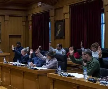 Elvira Lama, votando en contra de las ayudas al concello de Xinzo de Limia.