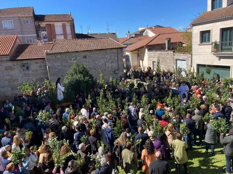 Procesión deste Domingo de Ramos en Xinzo.