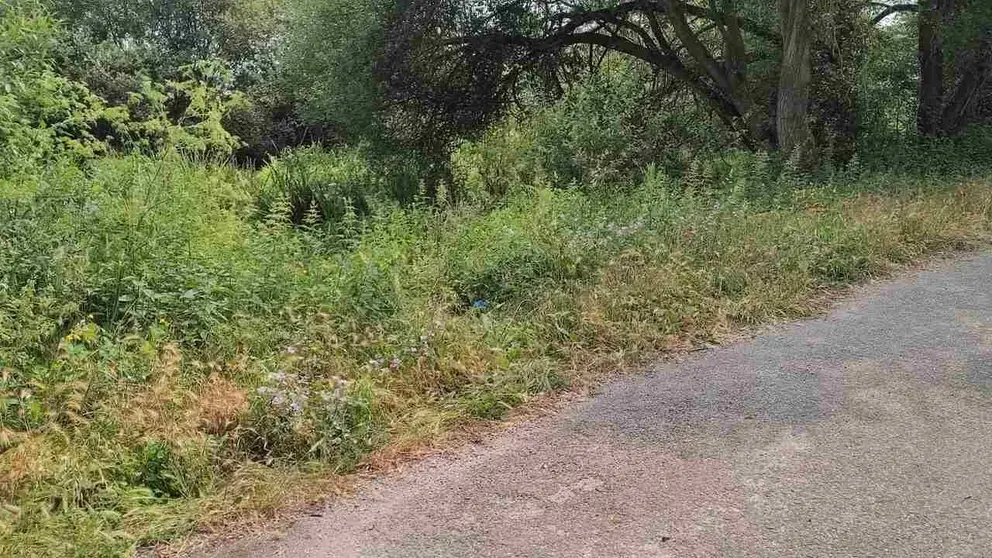 Zona en la que se cayó el ciclista en la avenida río Limia de Xinzo. | FOTO: Xosé Lois Colmenero.