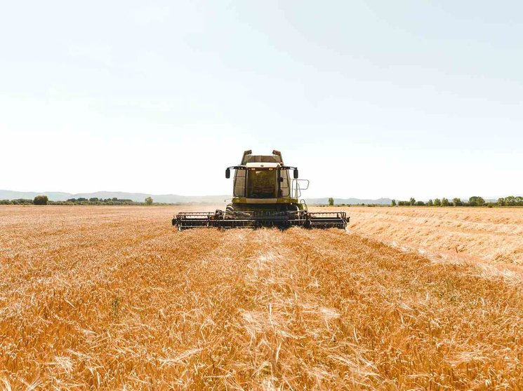 Los 152.000 kilos de cebada se recogieron en un terreno de cultivo de 32 hectáreas.