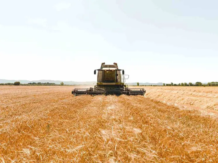 Los 152.000 kilos de cebada se recogieron en un terreno de cultivo de 32 hectáreas.