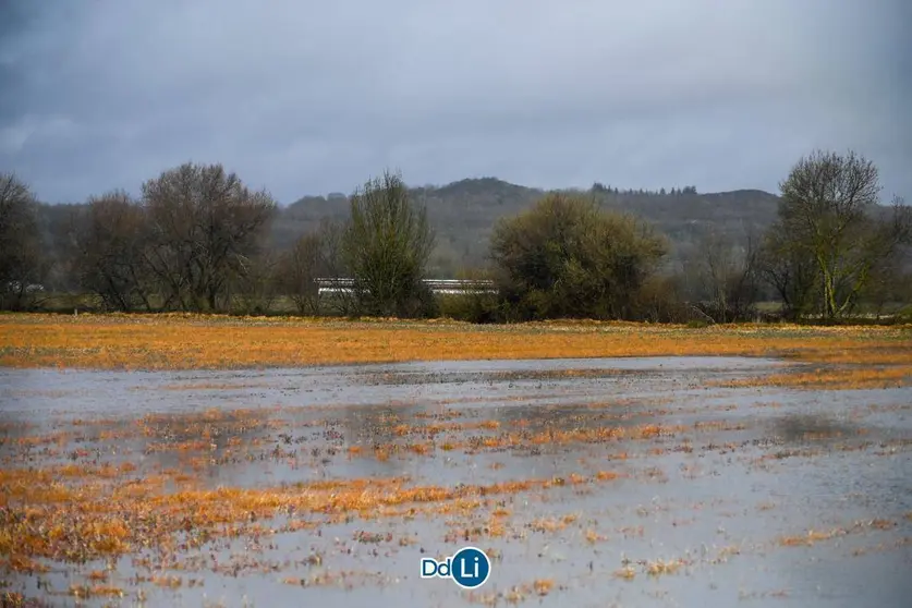 Uno de los campos de cereal que debía estar ya sembrado. | FOTO: Noelia Caseiro.