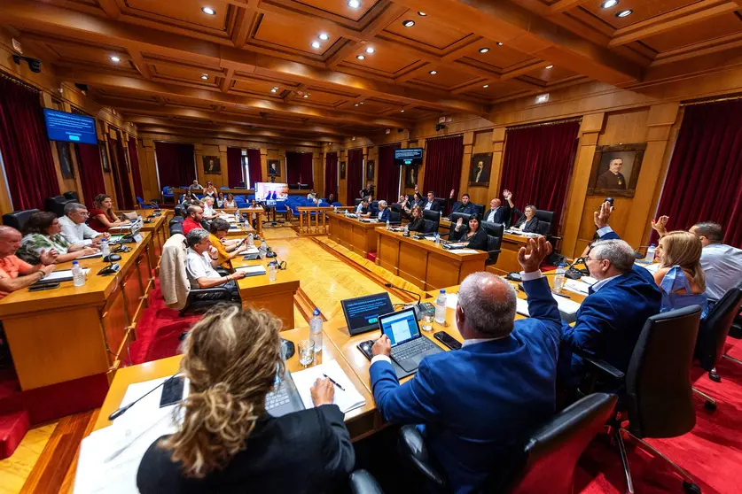 Pleno ordinario da Deputaci&oacute;n Ourense correspondente &oacute; mes de xullo. Asisten Lu&iacute;s Menor P&eacute;rez (Presidente Deputaci&oacute;n); Marta N&oacute;voa Iglesias (VicePresidenta 1&ordf;); Cesar Fern&aacute;ndez Gil (VicePresidente 2&ordm;); Placido &Aacute;lvarez Doba&ntilde;o (VicePresidente 3&ordm;); Rosendo Fern&aacute;ndez; Jorge Pumar Tesouro (Deputado PPOU); Jos&eacute; Miguel P&eacute;rez Blecua (Deputado PPOU); Manuel Seoane Rodr&iacute;guez (Deputado PPOU); Patricia Torres Madureira (Deputado PPOU); Mar&iacute;a del Carmen Gonz&aacute;lez Quintela  (Deputada PPOU); Jos&eacute; Mar&iacute;a Lago Cabo (Deputado PPOU); Mar&iacute;a Teresa Barge Bello (Deputada PPOU); Jos&eacute; Ignacio G&oacute;mez P&eacute;rez (Deputado PSOE); Elvira Lama Fern&aacute;ndez (Deputado PSOE); Diego Fern&aacute;ndez Nogueira (Deputado PSOE); Susana Rodr&iacute;guez Est&eacute;vez (Deputado PSOE); Marina Vaz Quintill&aacute;n (Deputada PSOE); &Aacute;lvaro Vila Araujo (Deputado PSOE); Aurentino Alonso Araujo (Deputado PSOE); Armando Ojea Bouzo (Deputado DO); Gonzalo P&eacute;rez J&aacute;come (Deputado DO); Rafael Mart&iacute;nez Cachafeiro (Deputado DO); Bernardo Varela L&oacute;pez (Deputado BNG), Xos&eacute; Manuel Puga Gonz&aacute;lez (Deputado BNG), Mar&iacute;a Jos&eacute; Mangana Guede (Deputada BNG), M&oacute;nica Legaspi (Interventora Deputaci&oacute;n Ourense) e Juan Marquina (Secretario Deputaci&oacute;n Ourense).