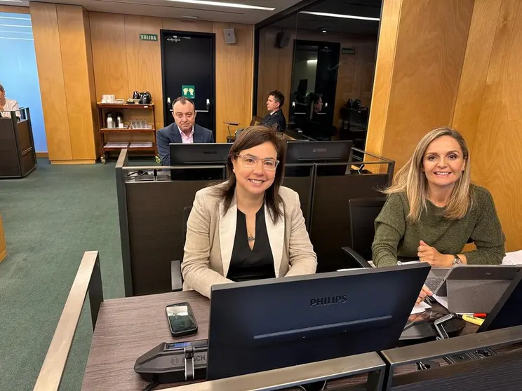 El Grupo Parlamentario Popular, con la diputada Ana Bel&eacute;n V&aacute;zquez (izquierda).