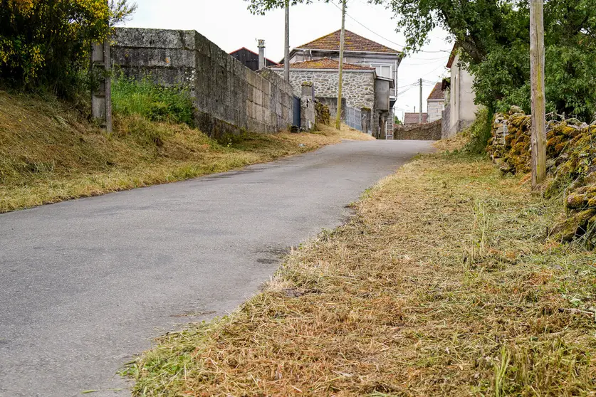 Desbroces en Gud&iacute;n, Xinzo de Limia.