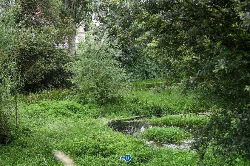Estado del r&iacute;o Limia a su paso por la villa, en una zona pr&oacute;xima al lugar en el que fue hallado el cuerpo de Javier. | FOTO: Noelia Caseiro.