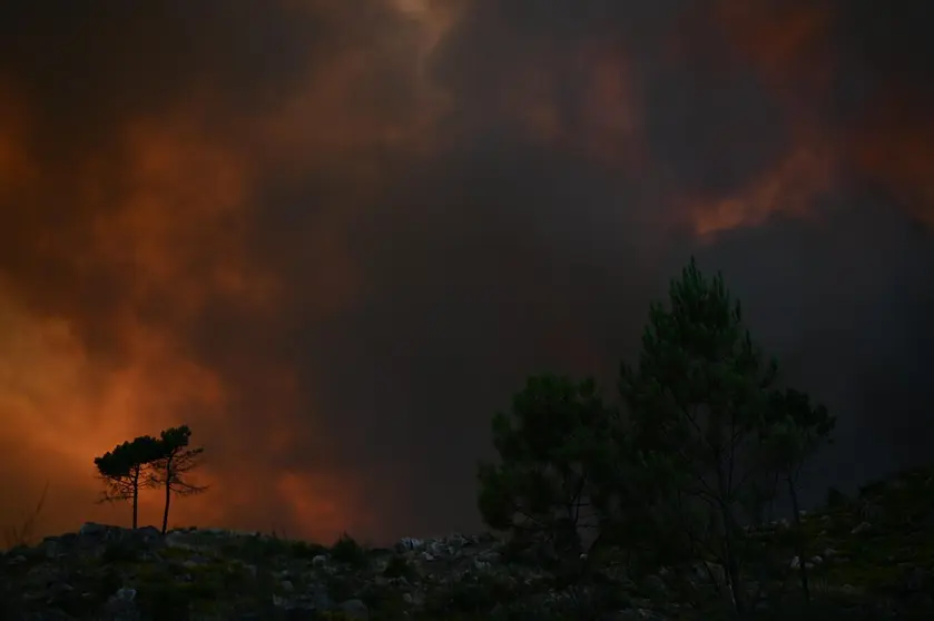 Incendio en los montes gallegos. | FOTO: Noelia Caseiro.