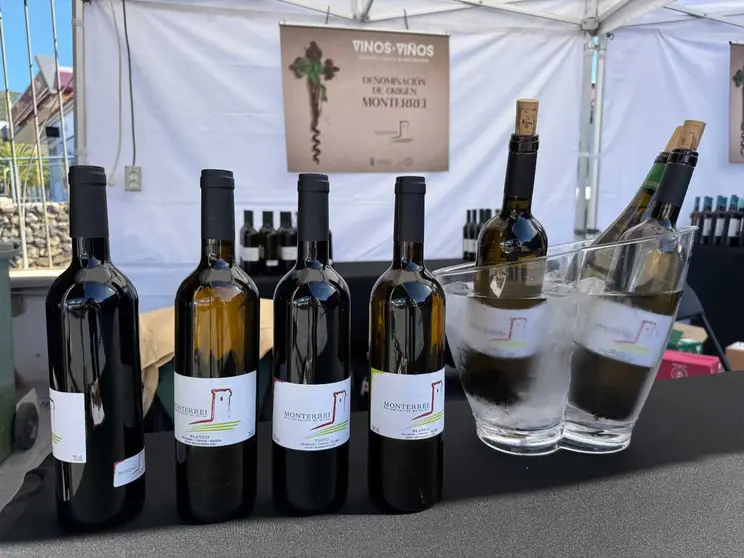 A lo largo de la jornada se ofrecieron degustaciones de vino D.O. Monterrei.