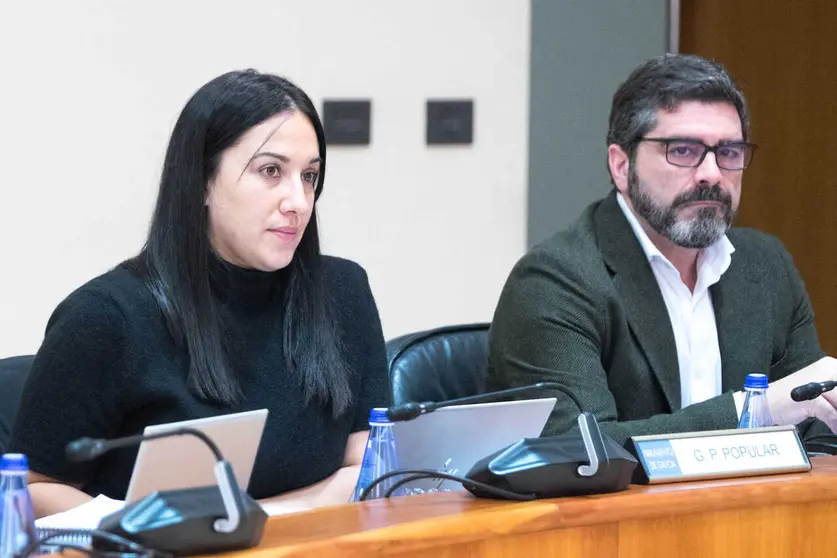 Cristina Campero e Alberto Rodr&iacute;guez na Comisi&oacute;n 1&ordf;.