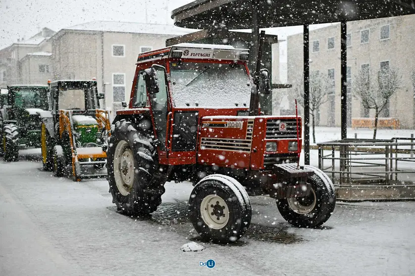 neve xinzo-45