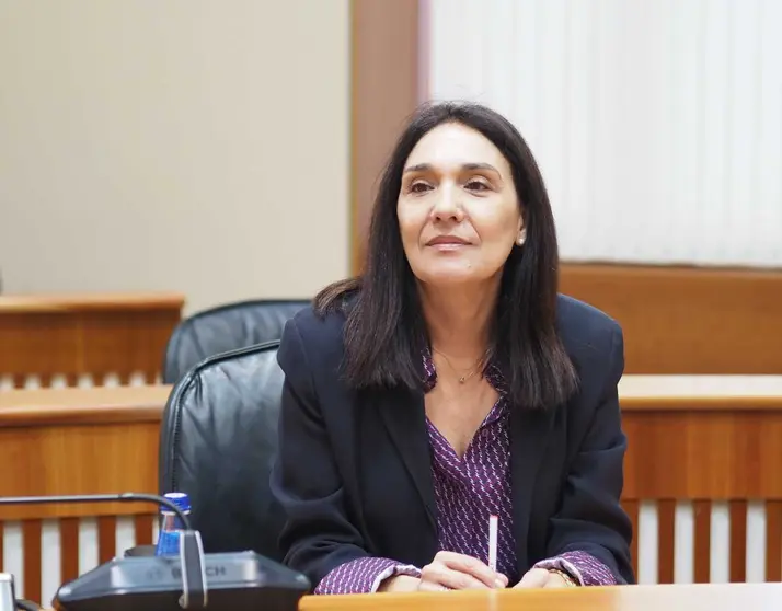 La diputada socialista Carmen Rodr&iacute;guez Dacosta durante su intervenci&oacute;n en la Comisi&oacute;n de Agricultura del Parlamento de Galicia.
