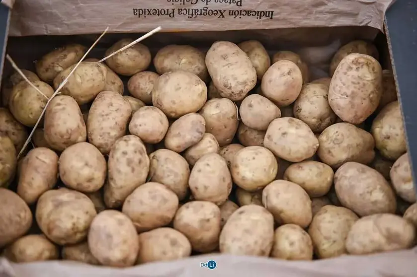 La patata se consolida como el principal activo financiero de la comarca con un peso del 22,7% en la facturaci&oacute;n total.