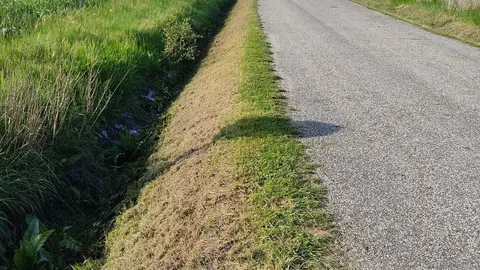 Visual da cuneta tras os traballos de desbroce e limpeza | Foto: concello