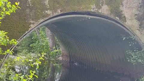 Ponte