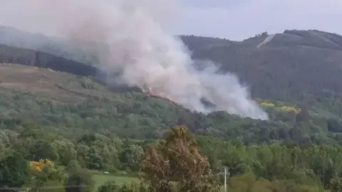 Incendio en Codosedo, Sarreaus..