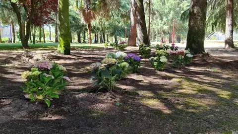 Saneamento das zonas verdes no Parque do Toural de Xinzo
