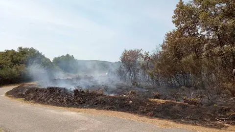 Restos do incendio en Rairiz de Veiga