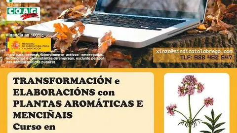 Carteis informativos dos dous cursos nos que colabora o Sindicato Labrego Galego.