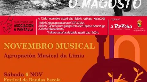 Cartel do Magosto e do Novembro Musical de Xinzo de Limia.
