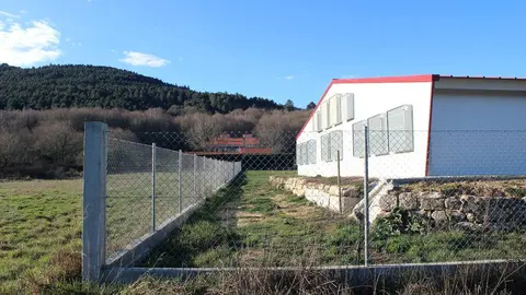 Granxa de polos en Rairiz. Ampliaci&oacute;n. TSXG (4)