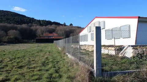 Granxa de polos en Rairiz. Ampliaci&oacute;n. TSXG (5)