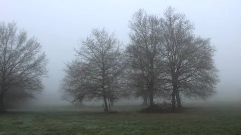 frio na limia