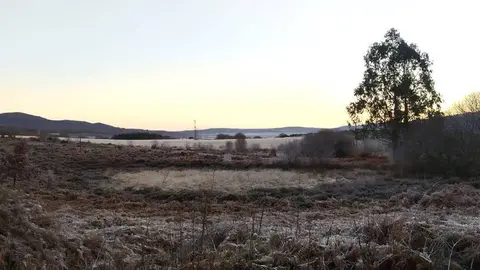 Calvos de Rand&iacute;n, a primeira hora da ma&ntilde;&aacute; deste martes