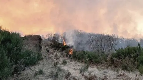 Imaxes incendio en Baltar. BRIF Laza 30.01 (1)
