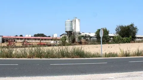 granxa na Limia