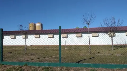 Granxa na Limia, no concello de Sarreaus, na estrada de Xinzo a Vilar de Barrio. (1)