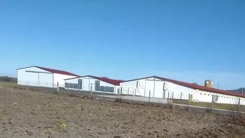Granxa na Limia, no concello de Sarreaus, na estrada de Xinzo a Vilar de Barrio. (2)