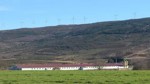 E&oacute;licos en Baltar.