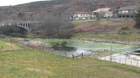 Limia en Ponteli&ntilde;ares (1)