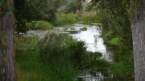 R&Iacute;O Limia. FOTO Noelia Caseiro