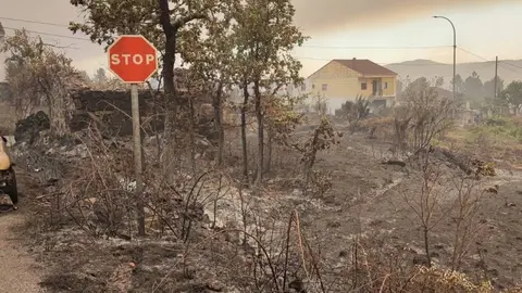 Imaxen dos danos causados xa o luns polo lume de Rabal. FOTO X.L. Colmenero