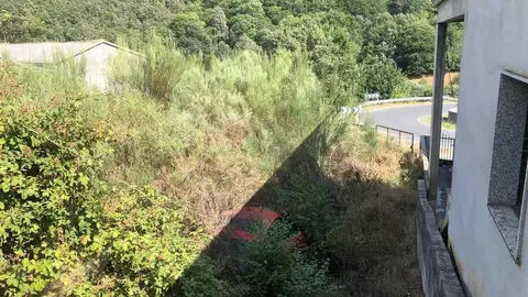 Un dos veh&iacute;culos abandonados nesta finca de Esperanzo e cuberto de maleza, preto das vivendas.