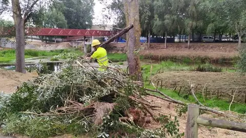 Traballos de limpeza este martes no r&iacute;o Limia, en Xinzo, a cargo de operarios de Tragsa (FILEminimizer)