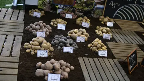 ALIMAGRO 9. expo