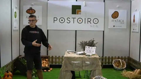 ALIMAGRO 16. expo