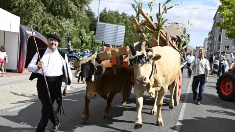 A "xugada" de vacas captou moita atenci&oacute;n na ma&ntilde;&aacute; de hoxe en Alimagro. | FOTO: Noelia Caseiro.