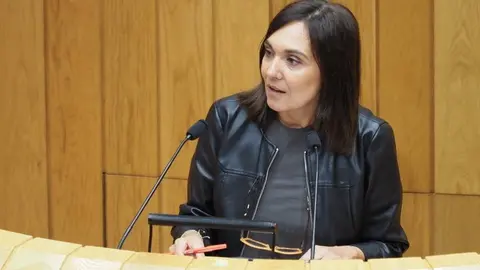 A parlamentaria socialista Carmen Rodr&iacute;guez Dacosta.