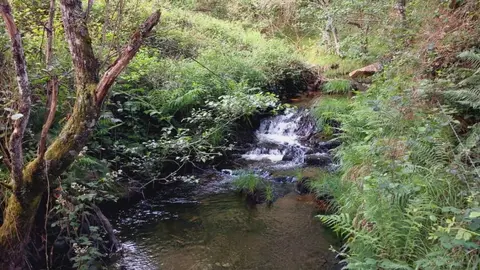 R&iacute;o Arnoia en Vilar de Barrio. FOTO Concello de Vilar de Barrio (FILEminimizer)