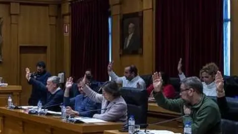 Elvira Lama, votando en contra de las ayudas al concello de Xinzo de Limia.