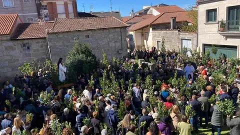Procesi&oacute;n deste Domingo de Ramos en Xinzo.