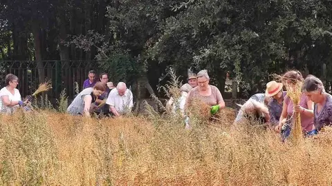 As mulleres recolleron e riparon o li&ntilde;o en Vilar de Santos.