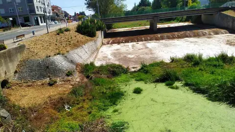 Imaxe tomada no r&iacute;o Limia ao seu paso por Xinzo este m&eacute;rcores.