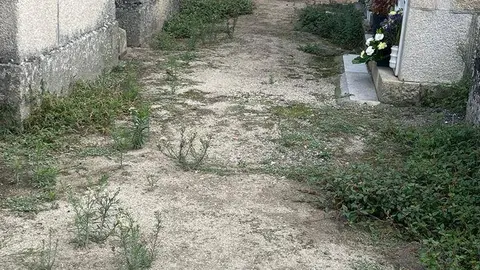 Cemiterio de Xinzo de Limia.