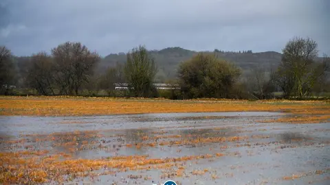Uno de los campos de cereal que deb&iacute;a estar ya sembrado. | FOTO: Noelia Caseiro.
